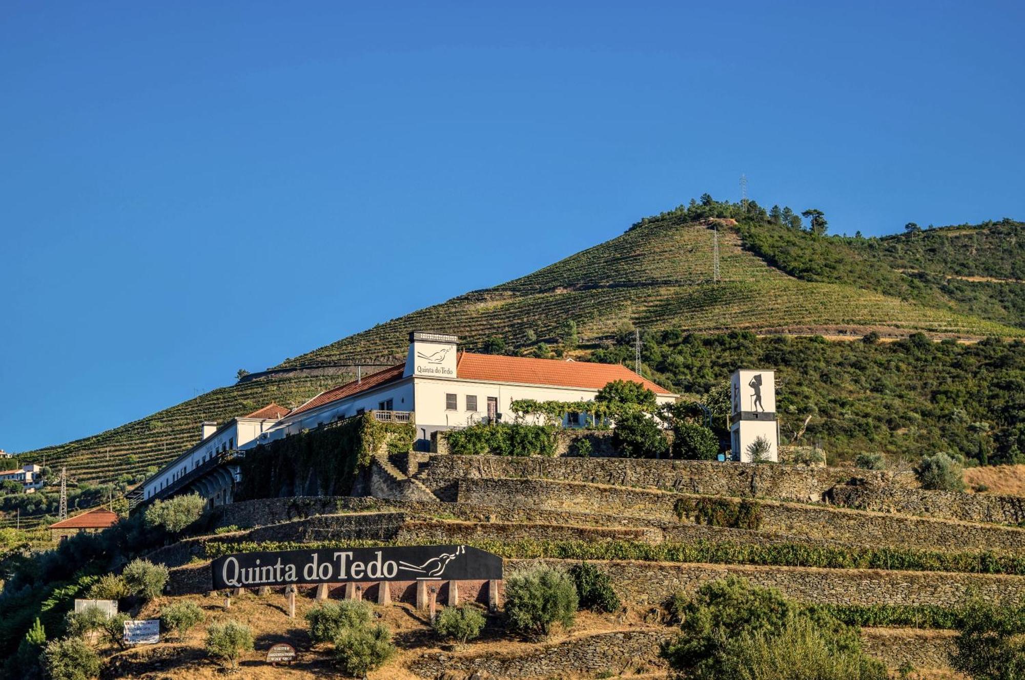 Quinta Do Tedo Bed and Breakfast Folgosa  Exterior foto